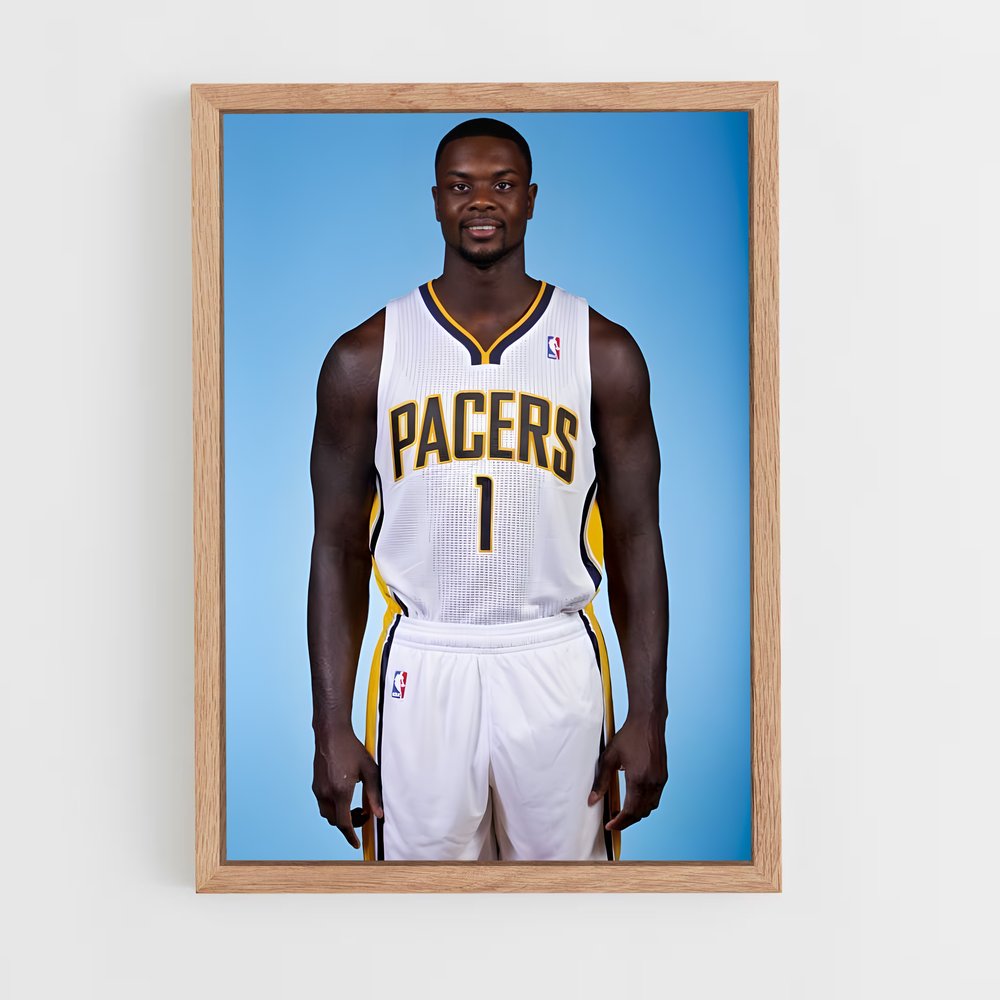 Poster The Wild Card – affiche Basketball (vue 4)